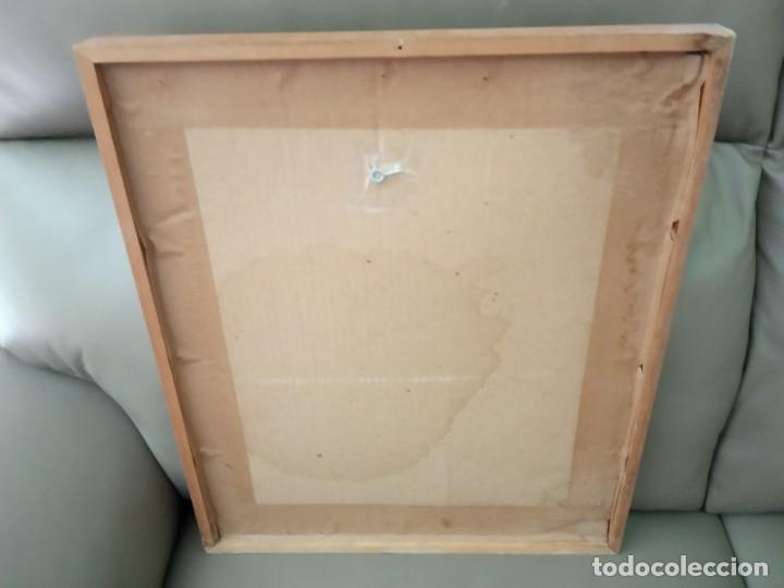 Coleccionismo: LAMINA ENMARACADA CON LORO - Foto 5