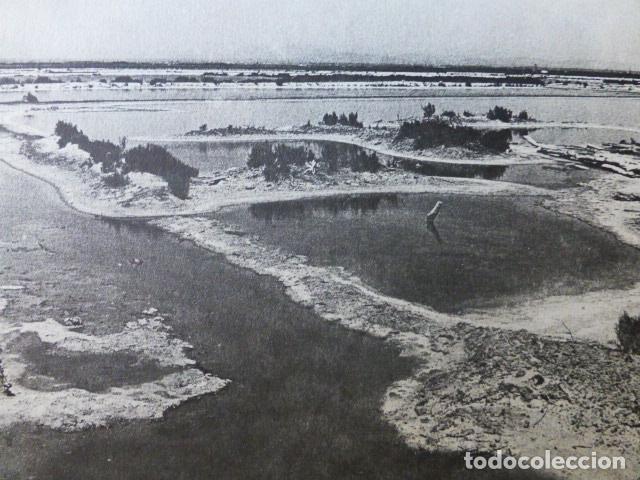 Coleccionismo: CAMPS MALLORCA SALINAS ANTIGUA LAMINA