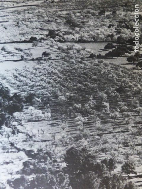 Colecionismo: MALLORCA PAISAJE ANTIGUA LAMINA