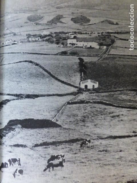Coleccionismo: MENORCA PAISAJE ANTIGUA LAMINA