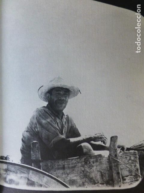 Sammelleidenschaft Papier: MENORCA UN LABRADOR ANTIGUA LAMINA