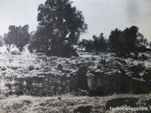 Coleccionismo: IBIZA NECROPOLIS DEL PUIG DELS MOLINS ANTIGUA LAMINA