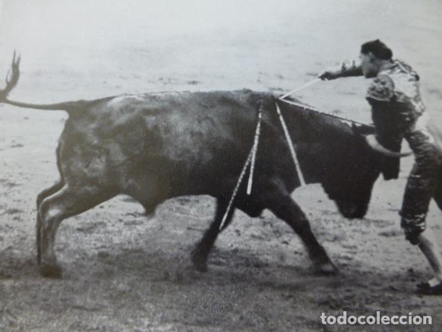 Colecionismo: MADRID CORRIDA DE TOROS ANTIGUA LAMINA HUECOGRABADO A&Ntilde;OS 20