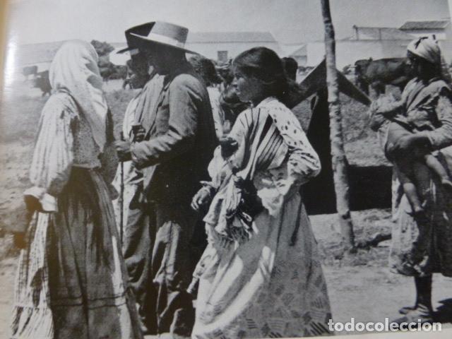 Colecionismo: CORDOBA EN LA FERIA ANTIGUA LAMINA HUECOGRABADO A&Ntilde;OS 20