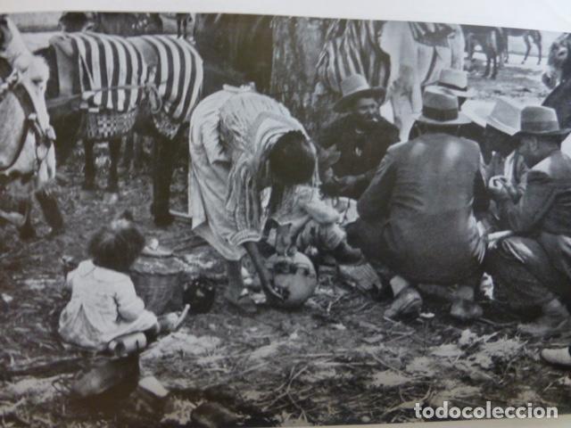 Colecionismo: CORDOBA EN LA FERIA ANTIGUA LAMINA HUECOGRABADO A&Ntilde;OS 20