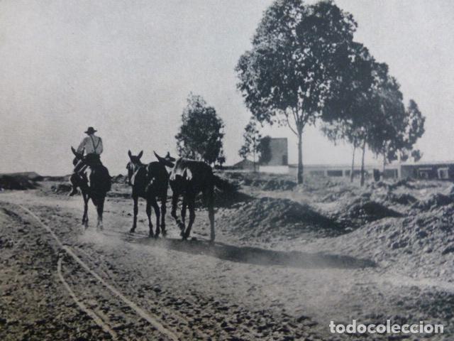Coleccionismo: TALAVERA DE LA REINA TOLEDO ANTIGUA LAMINA HUECOGRABADO A&Ntilde;OS 50