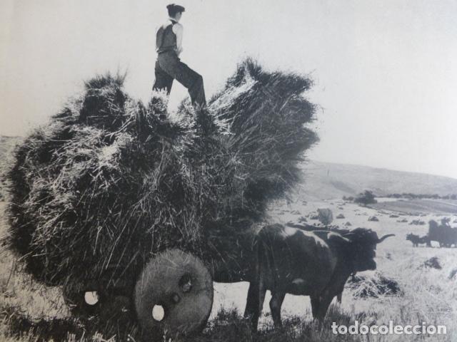 Collecting paper: GALICIA LABORES DEL CAMPO ANTIGUA LAMINA HUECOGRABADO A&Ntilde;OS 50