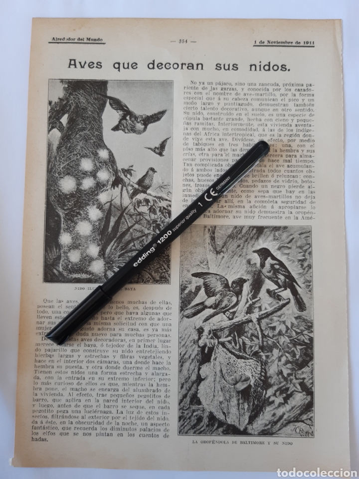 Coleccionismo: AVES QUE DECORAN SUS NIDOS / TIMADORES MODERNOS / LA COCINERA DE ALEJANDRO DUMAS.