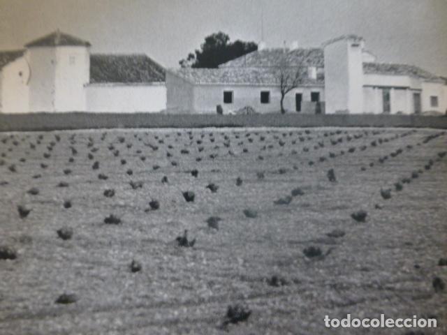 Collecting paper: TOMELLOSO CIUDAD REAL BODEGAS ANTIGUA LAMINA HUECOGRABADO