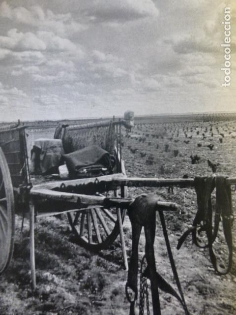 Collectionnisme: LA MANCHA CIUDAD REAL UN CARRO ANTIGUA LAMINA HUECOGRABADO