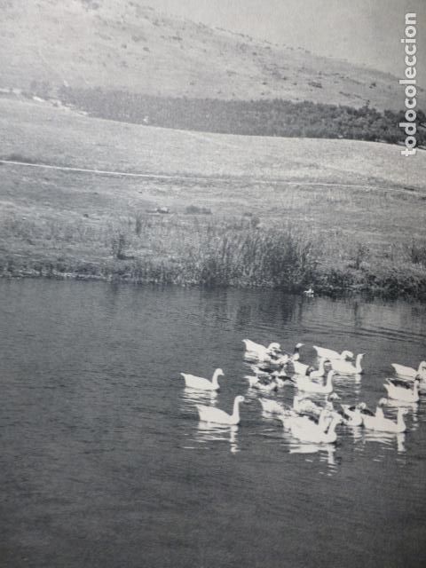 Colecionismo: LAGUNAS DE RUIDERA CIUDAD REAL VISTA ANTIGUA LAMINA HUECOGRABADO A&Ntilde;OS 50
