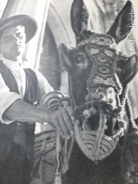 Colecionismo: TOLEDO TIPO TOLEDANO ANTIGUA LAMINA HUECOGRABADO A&Ntilde;OS 50