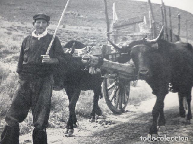 Colecionismo: RASCAFRIA MADRID CAMPESINO ANTIGUA LAMINA HUECOGRABADO A&Ntilde;OS 50