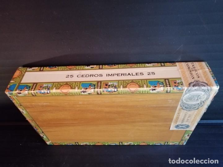 Coleccionismo: CAJA DE PUROS COMPLETA PRECINTADA MARCA ARAUTAPALA - Foto 4