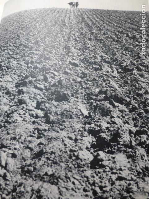 Collezionismo: EL TOBOSO TOLEDO LABRADOR ANTIGUA LAMINA HUECOGRABADO A&Ntilde;OS 50