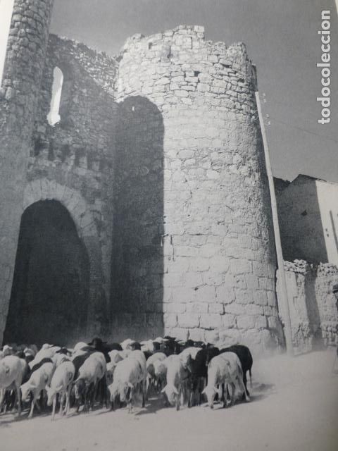 Colecionismo: BELMONTE CUENCA MURALLAS PASTOR CON REBA&Ntilde;O ANTIGUA LAMINA HUECOGRABADO A&Ntilde;OS 50