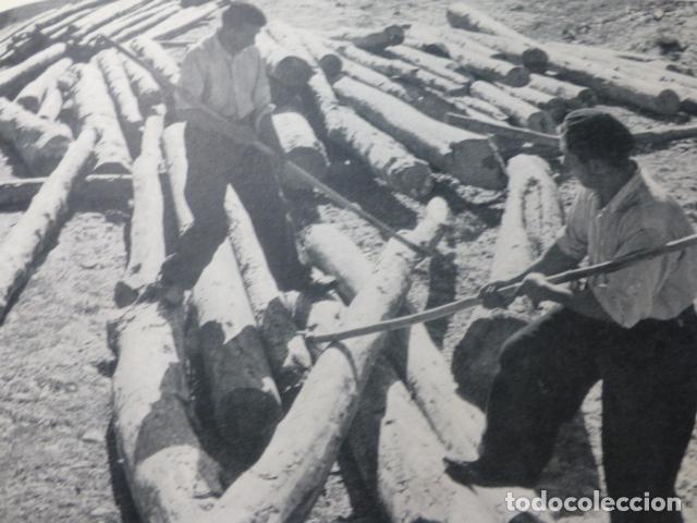 Collezionismo: CUENCA MADEREROS ANTIGUA LAMINA HUECOGRABADO A&Ntilde;OS 50