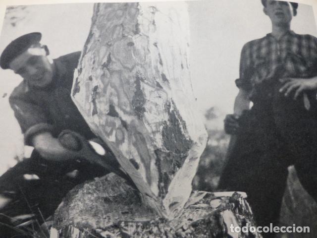 Collectionnisme: CUENCA MADEREROS ANTIGUA LAMINA HUECOGRABADO A&Ntilde;OS 50