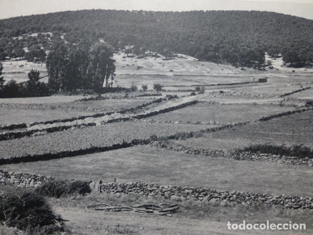 Collezionismo: ALCOLEA DEL PINAR GUADALAJARA PAISAJE ANTIGUA LAMINA HUECOGRABADO A&Ntilde;OS 50
