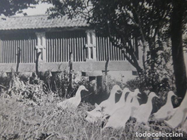 Coleccionismo: PONTEVEDRA UN HORREO ANTIGUA LAMINA HUECOGRABADO A&Ntilde;OS 50