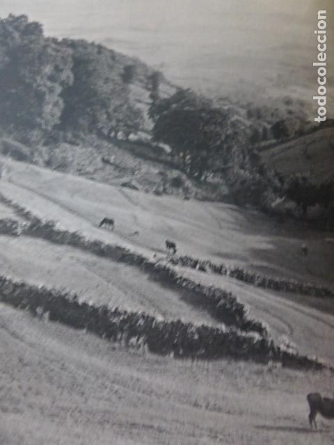 Colecionismo: GALICIA PASTOS EN LA MONTA&Ntilde;A ANTIGUA LAMINA HUECOGRABADO A&Ntilde;OS 50