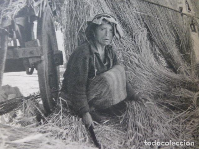 Collectionnisme: GALICIA CAMPESINA GALLEGA ANTIGUA LAMINA HUECOGRABADO A&Ntilde;OS 50