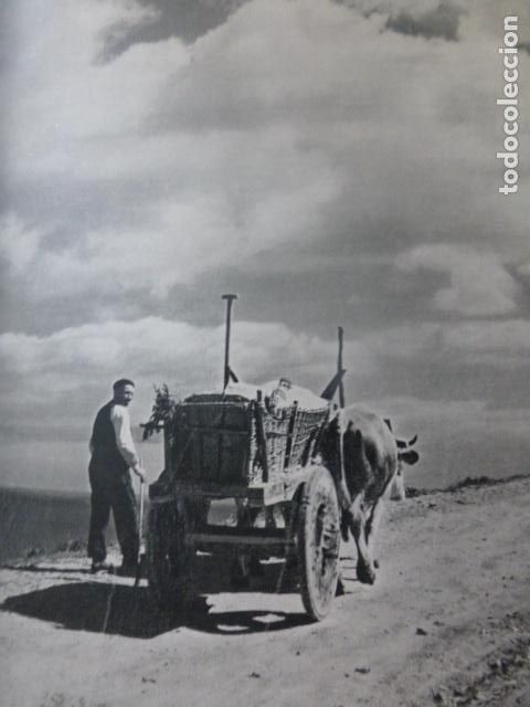 Coleccionismo: GALICIA CARRETA GALLEGA ANTIGUA LAMINA HUECOGRABADO A&Ntilde;OS 50