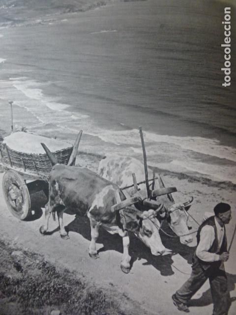 Coleccionismo: GALICIA CARRO GALLEGO ANTIGUA LAMINA HUECOGRABADO A&Ntilde;OS 50