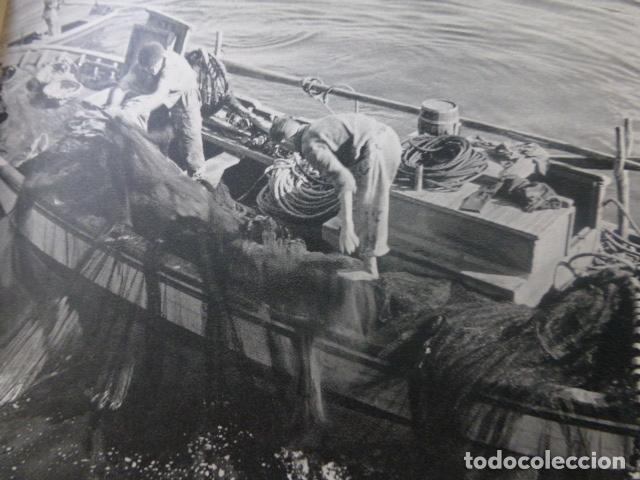 Coleccionismo: GALICIA PESCADORES FAENANDO ANTIGUA LAMINA HUECOGRABADO A&Ntilde;OS 50