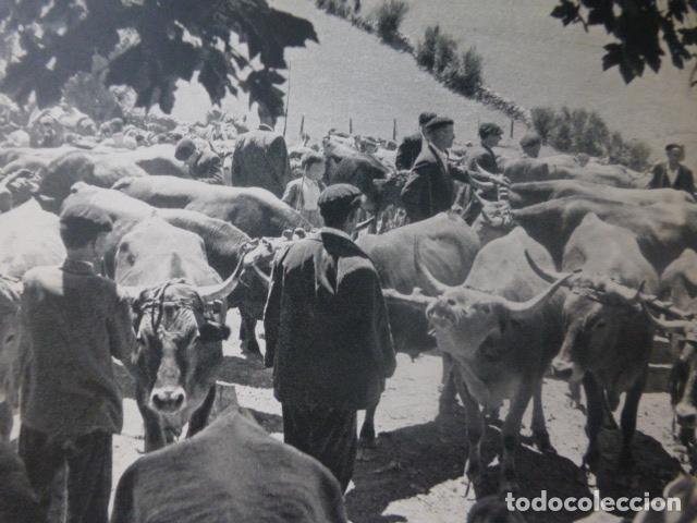 Colecionismo: PIEDRAFITA LUGO FERIA DE GANADO ANTIGUA LAMINA HUECOGRABADO A&Ntilde;OS 50