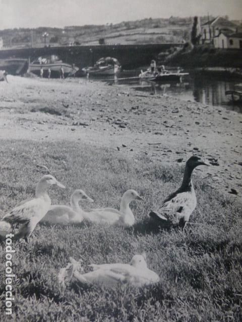 Sammelleidenschaft Papier: BETANZOS LA CORU&Ntilde;A PUERTO ANTIGUA LAMINA HUECOGRABADO A&Ntilde;OS 50