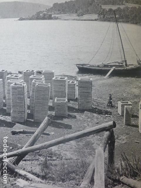Colecionismo: NOYA LA CORU&Ntilde;A ANTIGUA LAMINA HUECOGRABADO A&Ntilde;OS 50
