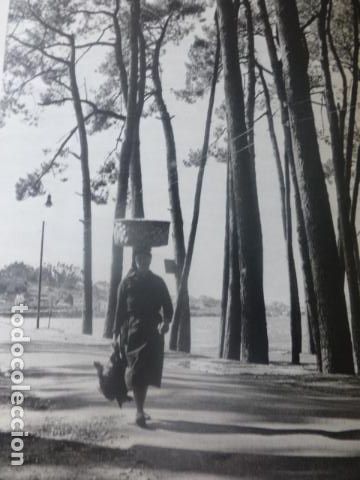 Collecting paper: LATOJA PONTEVEDRA PINARES ANTIGUA LAMINA HUECOGRABADO A&Ntilde;OS 50