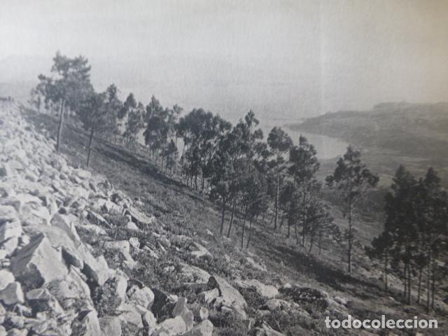 Collezionismo: MORRAZO PONTEVEDRA PAISAJE ANTIGUA LAMINA HUECOGRABADO A&Ntilde;OS 50