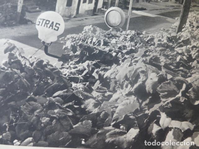 Coleccionismo: PUENTESAMPAYO PONTEVEDRA OTRAS Y UVAS ANTIGUA LAMINA HUECOGRABADO A&Ntilde;OS 50