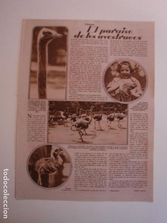Coleccionismo: EL PARAISO DE LOS AVESTRUCES - ELIXIR ESTOMACAL SAIZ DE CARLOS SOPAS QUAKER OATS - 29/4/1930