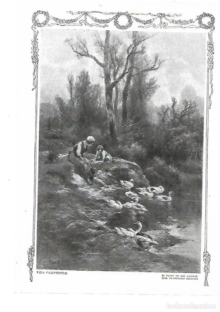Collecting paper: A&Ntilde;O 1915 RECORTE PRENSA DIBUJO VIDA CAMPESTRE EL BA&Ntilde;O DE LOS GANSOS POR REGIDOR