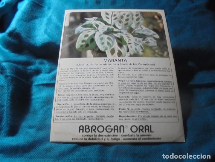 Collecting paper: PUBLICIDAD ABROGAN ORAL : PLANTA MARANTA