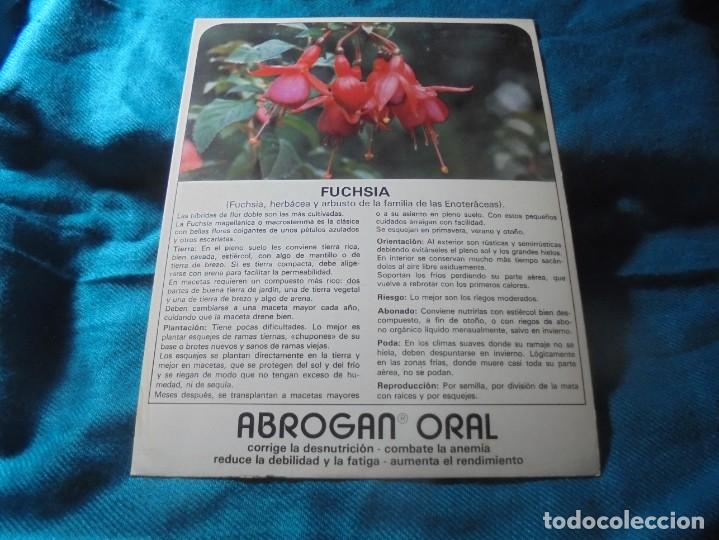 Collecting paper: PUBLICIDAD ABROGAN ORAL : PLANTA FUCHSIA