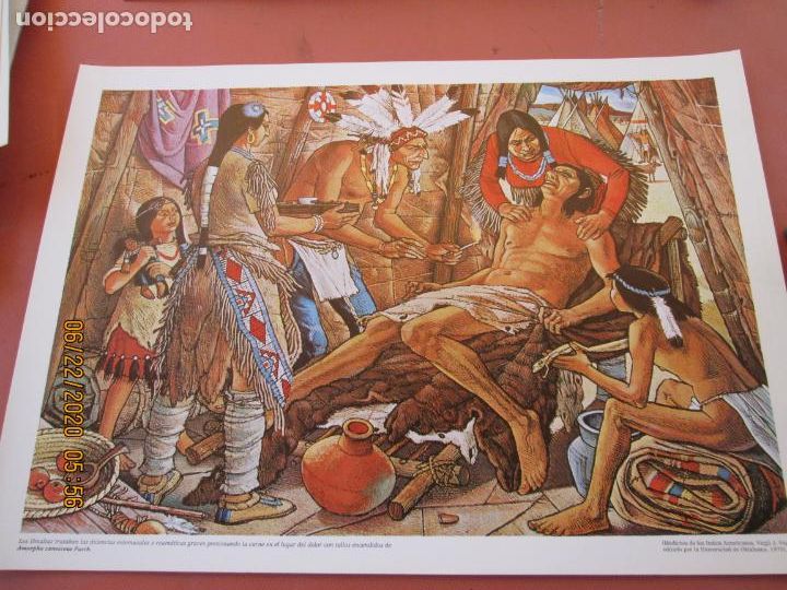 Coleccionismo: L&Aacute;MINA PUBLICIDAD LAB. WELLCOME - N&ordm; 4 - COLECCI&Oacute;N MEDICINA DE LOS INDIOS AMERICANOS.