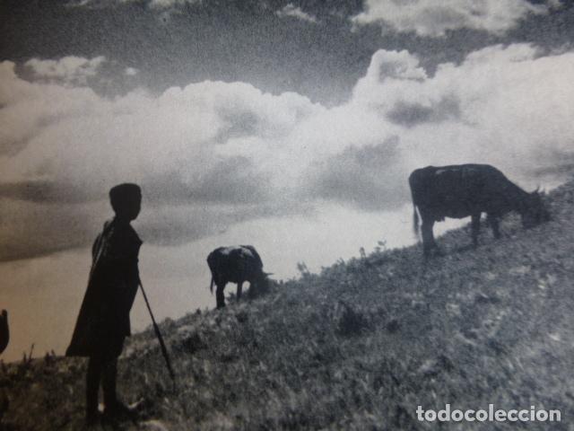 Colecionismo: ASTURIAS LLINDIANDO VAQUES ANTIGUA LAMINA HUECOGRABADO