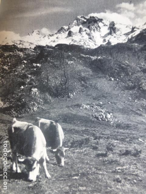 Colecionismo: PICOS DE EUROPA ASTURIAS ANTIGUA LAMINA HUECOGRABADO