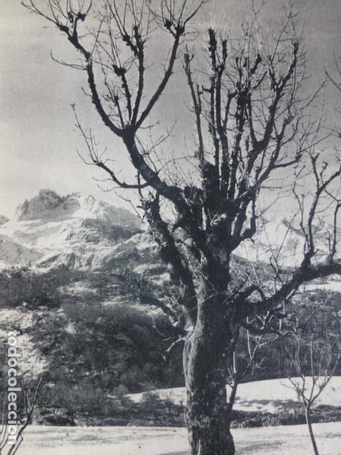 Colecionismo: PICOS DE EUROPA ASTURIAS VISTA ANTIGUA LAMINA HUECOGRABADO