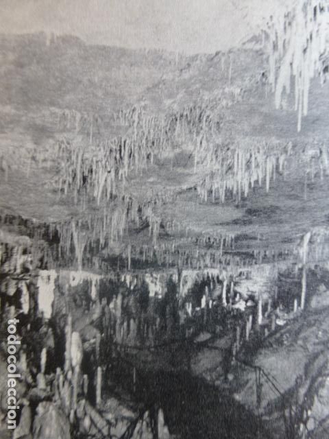 Collezionismo: ALTAMIRA CANTABRIA CUEVAS INTERIOR ANTIGUA LAMINA HUECOGRABADO