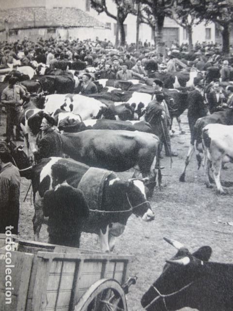 Sammelleidenschaft Papier: TORRELAVEGA CANTABRIA FERIA DE GANADO ANTIGUA LAMINA HUECOGRABADO