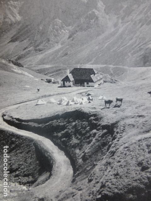 Colecionismo: PICO DE EUROPA CANTABRIA CAMPAMENTO DE ALIVA ANTIGUA LAMINA HUECOGRABADO