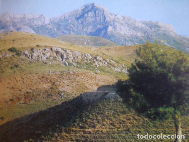 Colecionismo: SIERRA DE ALCARAZ ALBACETE PICO DE ALMENARA ANTIGUA LAMINA HUECOGRABADO
