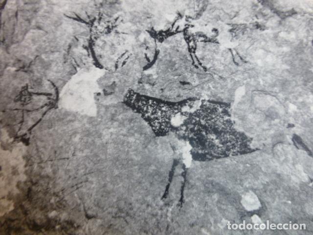 Collezionismo: ALPERA ALBACETE PINTURAS DE LA CUEVA DE LA VIEJA ANTIGUA LAMINA HUECOGRABADO