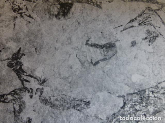 Coleccionismo: NERPIO ALBACETE PINTURAS DE LA SOLANA DE LAS COVACHAS ANTIGUA LAMINA HUECOGRABADO