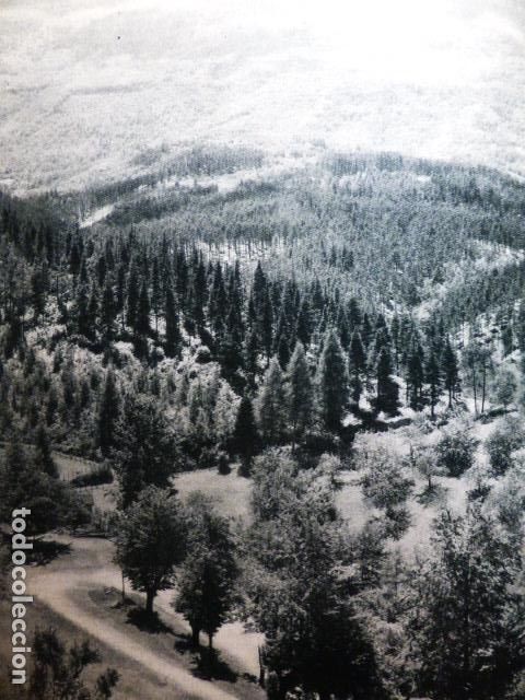 Coleccionismo: PAIS VASCO PAISAJE ANTIGUA LAMINA HUECOGRABADO